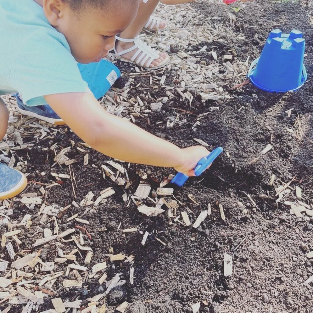 Creative Minds Child Care children play nature